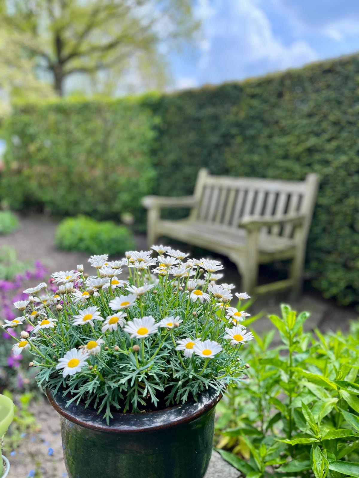 8c9bdbd0-12fd-4e18-8585-a2926e78373c