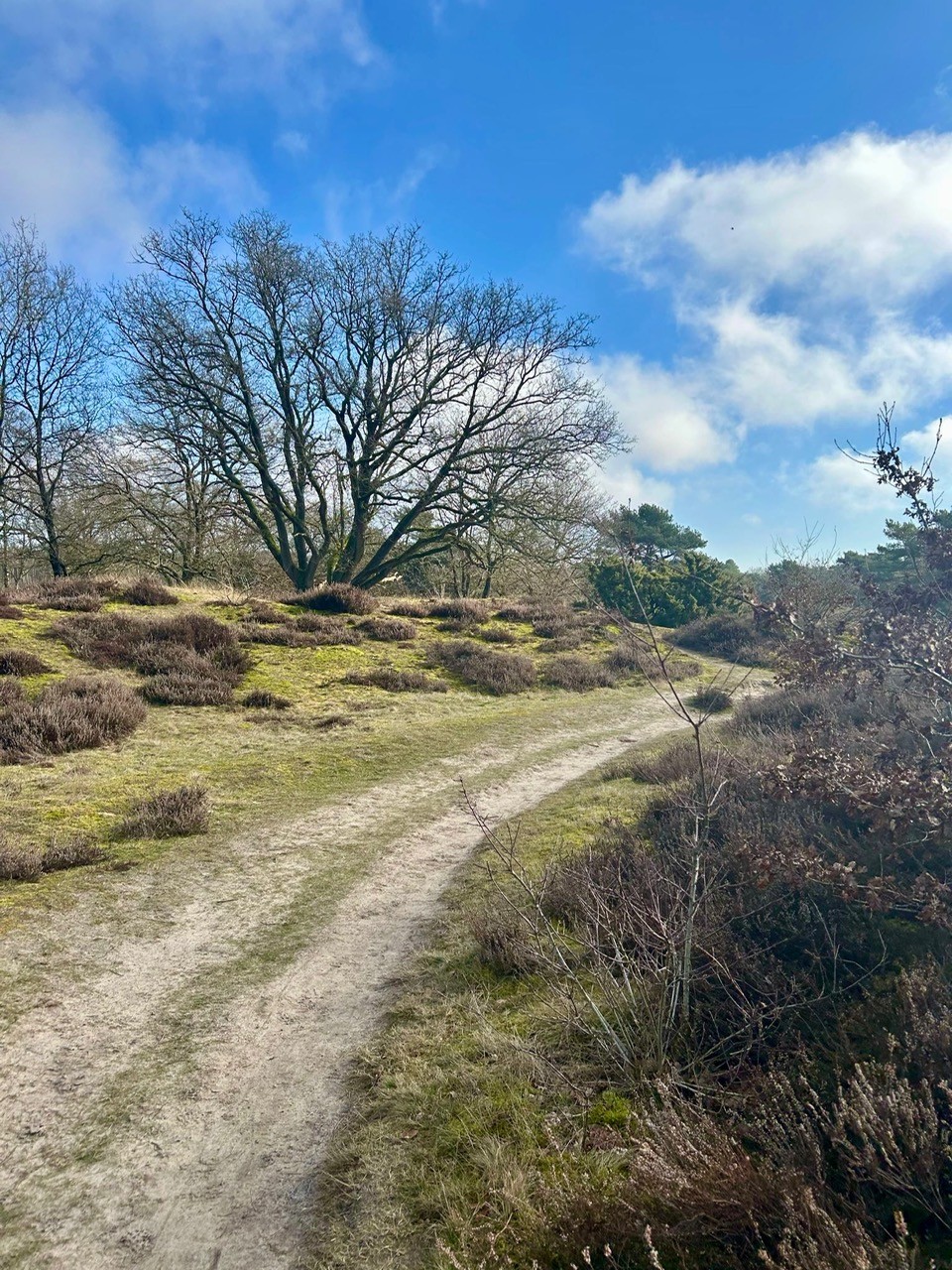 Hulp bij uitvaart groningen drenthe friesland